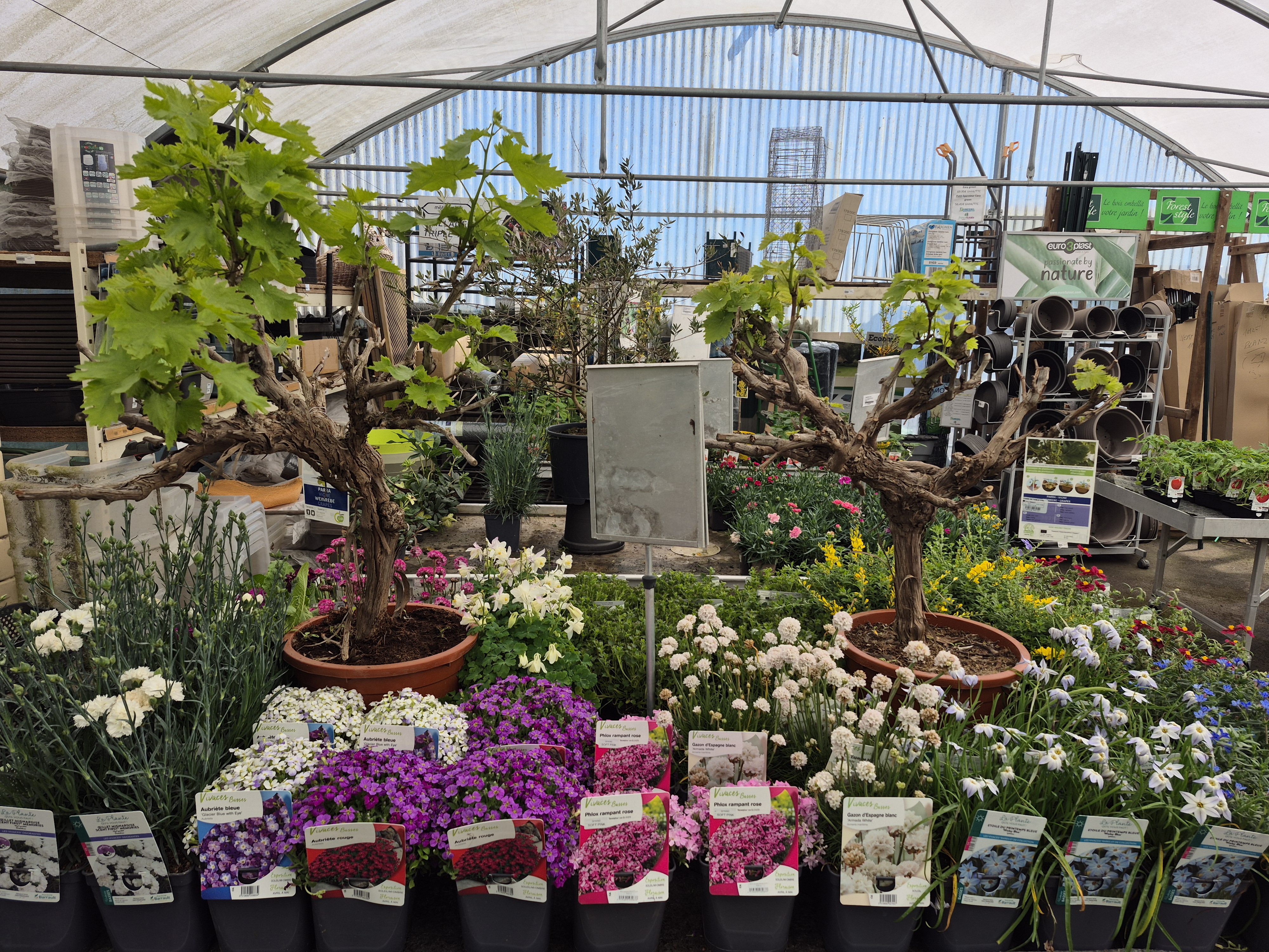 20260407_141530